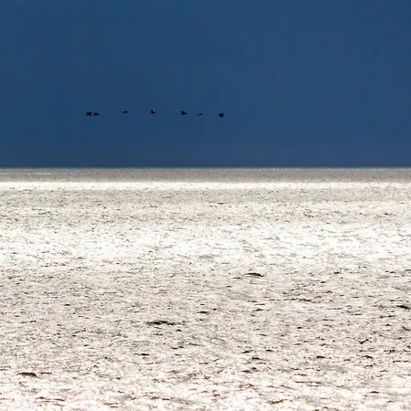 Отель Diemedis Паланга