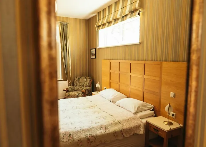 酒店 Diemedis 帕兰加