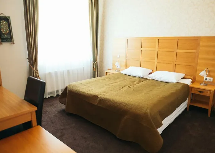 Diemedis 酒店 帕兰加