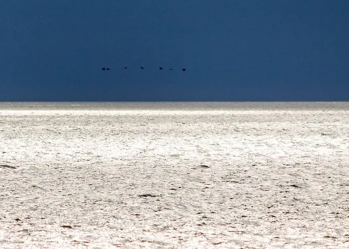 酒店 Diemedis 帕兰加